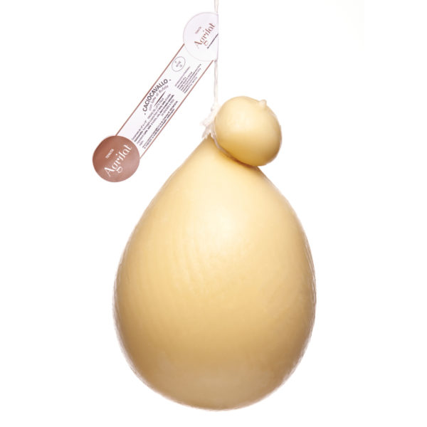 caciocavallo con latte di Bufala