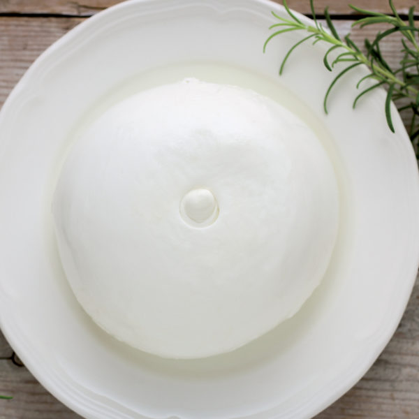 Zizza Mozzarella di bufala | Tenuta Agrilat