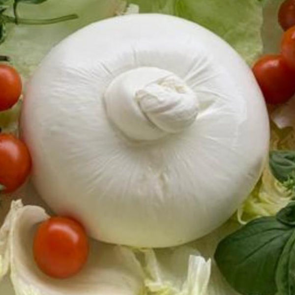 Figliata di Mozzarella di Bufala | Tenuta Agrilat